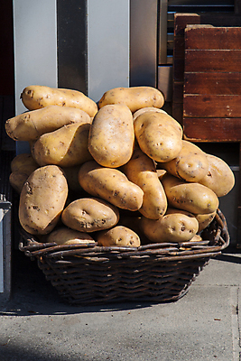 포토 JPG 해외이미지 주간 감자 사람없음 야외 농작물 쌓기 바구니 가득함 담기 해외포토 자연요소 농업 채소 모션 파일형식 이미지허브