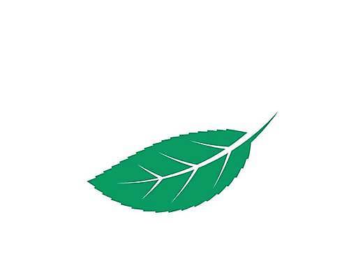 EPS 해외이미지 식물 디자인 선 백그라운드 잎 일러스트 재료 자연 건강 장식 초록색 가을 신선 만 차 시원함 민트 허브 심볼 유기농 향 바질 로즈메리 내추럴 쪽파 고립 딜 백리향 세이지 오레가노 해외일러스트 웰빙 계절 음료 컬러 생태계 파 파일형식 벡터 이미지허브