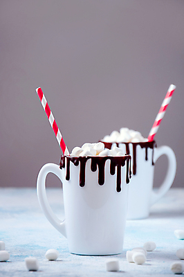 포토 JPG 해외이미지 전통 라이프스타일 계절 커피 음료 음식 백그라운드 크리스마스 겨울 유리 탁자 아침 휴가 디저트 새해 따뜻함 선물 사람없음 장식 컵 상자 갈색 초콜릿 우유 머그컵 흰색 축하 뜨거움 액체 막대기 달콤 맛 아침식사 크림 메뉴 카푸치노 코코아 마시멜로우 라떼 시나몬 카카오 핸드메이드 카피스페이스 맛있는 해외포토 주간 식기 기념일 컬러 가구 컨셉 재질 유제품 생활 식사 공백 파일형식 이미지허브