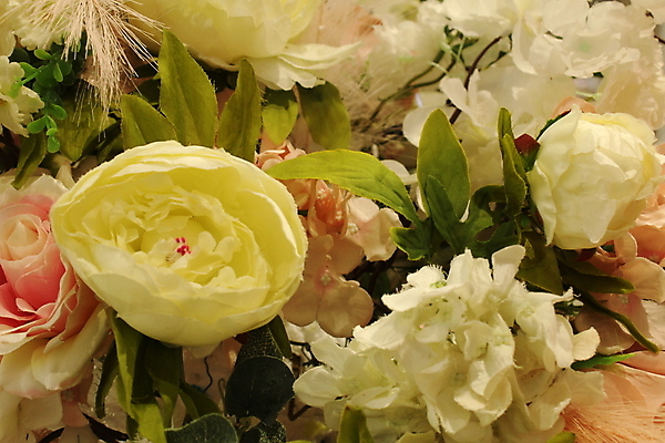 포토 JPG 해외이미지 식물 꽃잎 꽃 포스터 분홍색 꽃다발 백그라운드 꽃무늬 텍스트 자연 추상 사람없음 야외 빨간색 빛 봄 벚꽃 흰색 신용카드 인쇄 보케 해외포토 계절 컬러 무늬 금융 생태계 파일형식 이미지허브