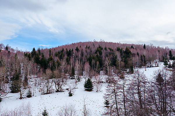 포토 JPG 해외이미지 나무 전통 계절 유럽 여행 오렌지 자연 하늘 아침 산 주택 파노라마 풍경 초원 사람없음 야외 초록색 여름 파란색 빛 마을 계곡 시골 신선 숲 고도 언덕 만족 산등성이 방문 루마니아 내추럴 산악지대 옛날 트란실바니아 해외포토 주간 식물 감정 나라 컬러 과일 촬영기법 건물 생태계 파일형식 이미지허브