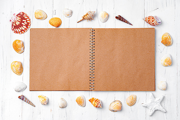 포토 JPG 해외이미지 불가사리 사람없음 조개껍데기 소라 스프링노트 나무탁자 카피스페이스 해외포토 탁자 조개 어패류 극피동물 공책 공백 파일형식 이미지허브