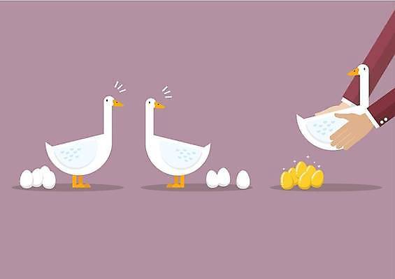 EPS 해외이미지 손 응시 일러스트 세마리 들기 신체부위 금융 경제 보라색 황금알 거위 거위알 해외일러스트 시선 컬러 모션 조류 3 사람 알 파일형식 벡터 이미지허브