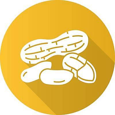 EPS 해외이미지 클립아트 식물 디자인 음식 컨셉 오렌지 과일 일러스트 재료 건강 요리 씨앗 픽토그램 웹 견과류 양념 조미료 플랫 맛 심볼 향신료 오브젝트 사인 유기농 향기 아로마 땅콩 향료 상형문자 엘리먼트 항목 해외일러스트 문자 웰빙 인터넷 냄새 향미료 파일형식 벡터 이미지허브