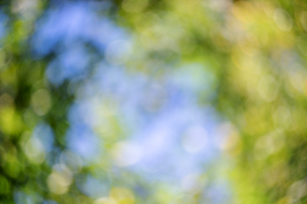 포토 JPG 해외이미지 식물 디자인 백그라운드 잎 자연 추상 미술 사람없음 초록색 여름 빛 컬러풀 햇빛 태양 뷰티 맑음 봄 흰색 소프트포커스 질감 보케 부드러움 내추럴 블러 해외포토 자연요소 계절 컬러 무늬 날씨 문화예술 촬영기법 감각 생태계 파일형식 이미지허브