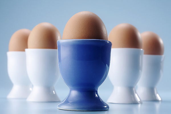 포토 JPG 해외이미지 실내 사람없음 계란 파란배경 계란꽂이 해외포토 백그라운드 내부 파란색 알 꽂이 파일형식 이미지허브