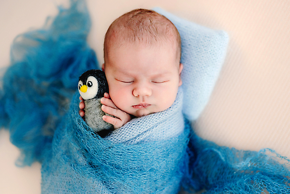 포토 JPG 해외이미지 백인 남자 인형 실내 한명 사람 아기 신생아 잡기 잠 남자아기한명만 해외포토 서양인 1 모션 내부 남자한명만 남자아기만 파일형식 이미지허브