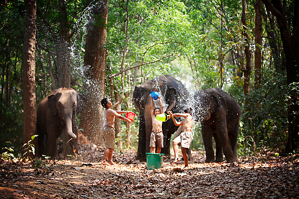 포토 JPG 해외이미지 나무 동물 전통 라이프스타일 실루엣 아시아 종교 문화 야생동물 여행 밭 농업 포유류 태국 자연 아침 코끼리 그림자 사람 동양인 풍경 세명 여름 농장 마을 일출 환경 일몰 시골 농부 숲 신성 상아 북쪽 전국 해외포토 주간 식물 직업 계절 나라 산업 촬영기법 인종 생활 노을 방향 생태계 파일형식 이미지허브