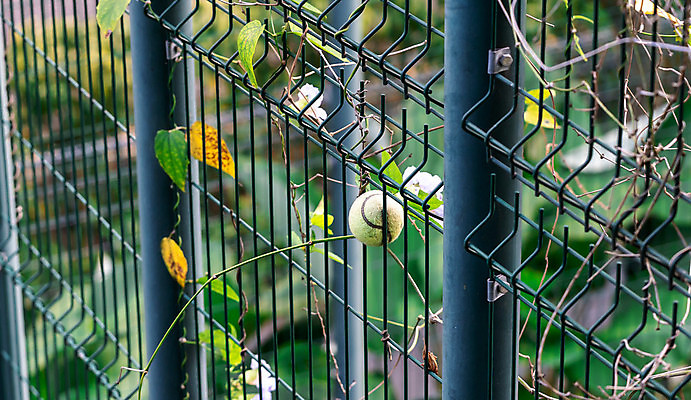 포토 JPG 해외이미지 1 스포츠 패턴 공 그림자 사람없음 야외 가로 울타리 컬러풀 한개 햇빛 노란색 경쟁 장비 테니스 원형 연습 속도 싱글 흐림 그만 때리기 법정 여의주 정물화 체포 해외포토 도형 컬러 컨셉 무늬 모션 날씨 담장 태양 구기 그림 파일형식 이미지허브