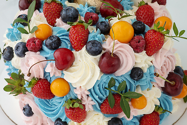 포토 JPG 해외이미지 열매 음식 분홍색 백그라운드 잎 과일 딸기 휴가 디저트 주택 건강 요리 사람없음 장식 빨간색 파란색 케이크 주방 정원 수확 흰색 신선 체리 달콤 맛 설탕 크림 준비 질감 블루베리 반죽 산딸기 무스 페스츄리 핸드메이드 맛있는 해외포토 식물 빵 컬러 컨셉 농업 건물 파일형식 이미지허브