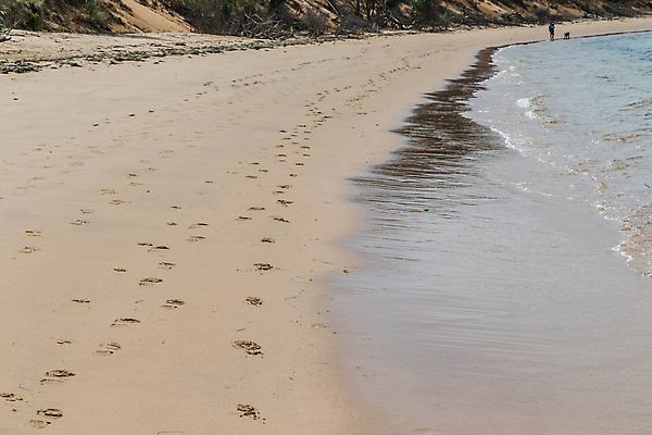 포토 JPG 해외이미지 주간 섬 휴식 해변 사람없음 야외 물 평화 맑음 호주 해외포토 자연요소 바다 컨셉 날씨 오세아니아 파일형식 이미지허브