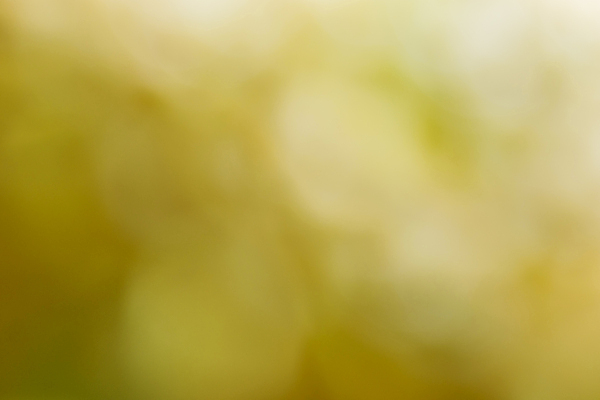 포토 JPG 해외이미지 디자인 백그라운드 추상 경사 사람없음 노란색 보케 해외포토 컬러 무늬 파일형식 이미지허브