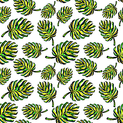 JPG 해외이미지 디자인 백그라운드 패턴 일러스트 사람없음 패턴백그라운드 몬스테라 해외일러스트 식물 무늬 파일형식 이미지허브