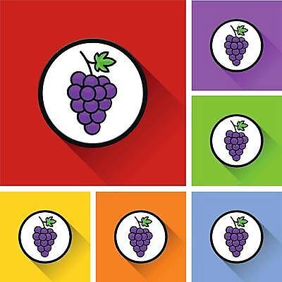 EPS 해외이미지 클립아트 디자인 음식 잎 과일 일러스트 포도 그림자 와인 웹 흰색 플랫 만화 다발 심볼 포도나무 건포도 해외일러스트 식물 컬러 인터넷 주류 과일나무 건과일 파일형식 벡터 이미지허브