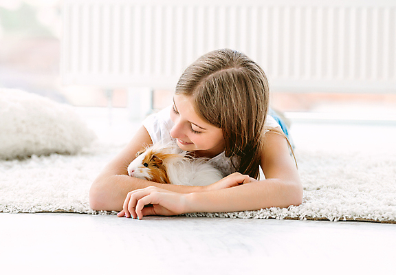 포토 JPG 해외이미지 라이프스타일 응시 여자 어린이 엎드리기 함께함 실내 한명 미소 소녀 앞모습 반려동물 카펫 방 기니피그 소녀한명만 해외포토 동물 1 시선 뷰포인트 컨셉 포유류 모션 표정 사람 내부 생활 여자한명만 소녀만 파일형식 이미지허브