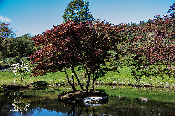 포토 JPG 해외이미지 나무 공원 꽃 사람없음 건물 빨간색 초록색 물 파란색 해외포토 자연요소 식물 건축물 공공시설 컬러 파일형식 이미지허브