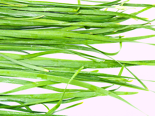 포토 JPG 해외이미지 식물 음식 백그라운드 잎 농업 다이어트 채소 재료 건강 마늘 요리 동양인 사람없음 초록색 식사 중국 흰색 신선 닫기 다발 먹기 허브 향신료 흰배경 유기농 질감 날것 향기 냄새 부추 내추럴 쪽파 고립 식용 채식주의자 해외포토 웰빙 산업 아시아 컬러 모션 인종 채식 파 향미료 파일형식 이미지허브