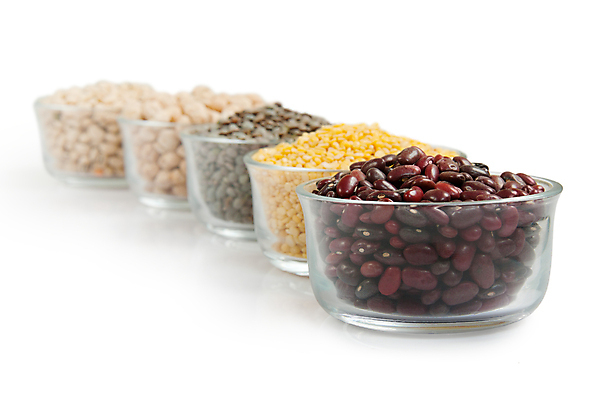 포토 JPG 해외이미지 콩 곡류 사람없음 다양 담기 일렬 해외포토 다수 모션 파일형식 이미지허브