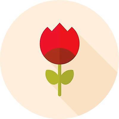 EPS 해외이미지 꽃 일러스트 사람없음 베이지색 해외일러스트 식물 컬러 파일형식 벡터 이미지허브