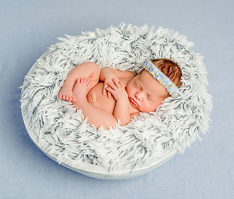 포토 JPG 해외이미지 백인 여자 꽃 백그라운드 한명 사람 파란색 침대 아기 신생아 머리띠 담요 여자아기한명만 해외포토 서양인 식물 1 컬러 가구 장신구 여자한명만 여자아기만 파일형식 이미지허브