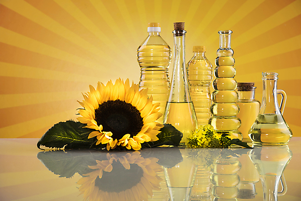 포토 JPG 해외이미지 잎 유리병 해바라기 실내 사람없음 반사 다양 식용유 올리브오일 유채 노란배경 오일병 카놀라 해바라기씨유 해외포토 식물 꽃 다수 백그라운드 병_용기 내부 노란색 기름_음식 파일형식 이미지허브