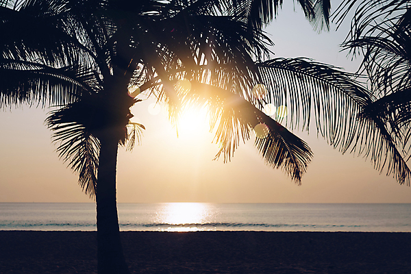 포토 JPG 해외이미지 계절 모래 파도 바다 섬 여행 백그라운드 컨셉 오렌지 자연 벽지 하늘 추상 휴가 풍경 사람없음 야외 물 여름 파란색 빛 컬러풀 햇빛 태양 우주 맑음 일몰 수확 소프트포커스 복고 보케 부드러움 내추럴 블러 파라다이스 스타일 수평선 효과 해외포토 자연요소 컬러 무늬 농업 과일 날씨 촬영기법 노을 감각 생태계 파일형식 이미지허브