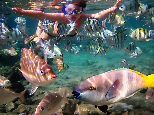 포토 JPG 해외이미지 동물 손 여자 행복 스포츠 바다 여행 백그라운드 자연 휴가 불가사리 생물 건강 어류 한명 사람 야외 물 여름 파란색 컬러풀 뷰티 맑음 수중 수영 산호 다이빙 암초 석호 이국적 해외포토 자연요소 1 계절 감정 컬러 날씨 극피동물 신체부위 수중동물 수상스포츠 자포동물 생태계 수중스포츠 파일형식 이미지허브