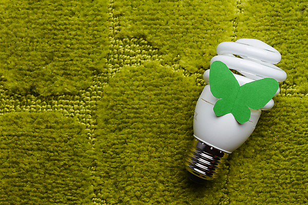 포토 JPG 해외이미지 종이 나비 백그라운드 컨셉 전구 유리 추상 조명 아이디어 나선형 사람없음 초록색 경제 빛 환경 힘 에너지 흰색 램프 절약 오브젝트 에코 종이접기 형광등 혁명 생태학 효율 카피스페이스 해외포토 교육 컬러 곤충 무늬 재질 전등 공백 접기 파일형식 이미지허브