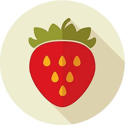 EPS 해외이미지 디자인 일러스트 딸기 사람없음 플랫 해외일러스트 과일 파일형식 벡터 이미지허브