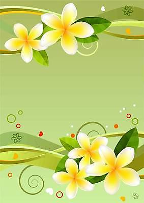EPS 해외이미지 모양 템플릿 디자인 배너 꽃 포스터 백그라운드 꽃무늬 패턴 일러스트 휴가 기념 프레임 장식 세로 초록색 빛 봄 낭만 축하 인사 신용카드 그리기 다발 하와이 발리 초대 목련 엘리먼트 이국적 해외일러스트 식물 계절 컬러 섬 컨셉 무늬 모션 금융 미국 예절 인도네시아 파일형식 벡터 이미지허브