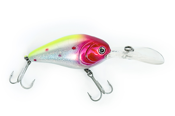 포토 JPG 해외이미지 백그라운드 낚시 어류 취미 사람없음 가로 물 여름 컬러풀 햇빛 장비 흰색 유혹 자르기 오브젝트 싱글 열정 미끼 고립 돌리기 해외포토 자연요소 계절 감정 컬러 컨셉 모션 레저 태양 수중동물 파일형식 이미지허브