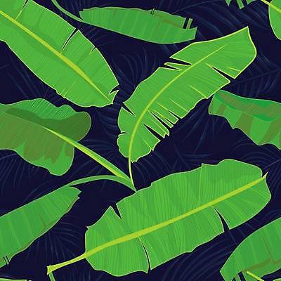 EPS 해외이미지 줄기 백그라운드 패턴 일러스트 사람없음 초록색 패턴백그라운드 시원함 남색 열대잎 보테니컬아트 해외일러스트 식물 컬러 잎 무늬 파일형식 벡터 이미지허브