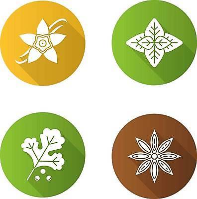 EPS 해외이미지 식물 디자인 꽃 음식 컨셉 잎 일러스트 재료 파슬리 건강 요리 세트 픽토그램 상점 웹 양념 조미료 플랫 고수 맛 허브 심볼 오브젝트 사인 유기농 향기 아로마 향료 바질 내추럴 바닐라 상형문자 항목 페스토 해외일러스트 문자 웰빙 인터넷 채소 소스_음식 향신료 냄새 향미료 파일형식 벡터 이미지허브