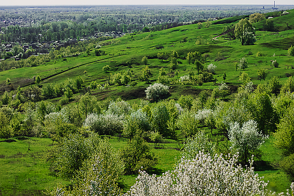 포토 JPG 해외이미지 나무 식물 구름 계절 꽃 유럽 도로 백그라운드 밭 농업 자연 하늘 날씨 파노라마 풍경 사람없음 야외 초록색 컬러풀 농장 농경지 노란색 환경 봄 성장 벚꽃 시골 개화 숲 언덕 유채 장면 내추럴 밭일 생태학 카놀라 수평선 해외포토 자연요소 교육 나라 산업 길 컬러 교통시설 촬영기법 생태계 파일형식 이미지허브