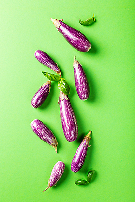 포토 JPG 해외이미지 식물 음식 백그라운드 농업 다이어트 채소 과일 재료 자연 가지 건강 요리 사람없음 초록색 농장 정원 보라색 검은색 줄무늬 신선 시장 작음 먹기 허브 제비꽃 향신료 오브젝트 유기농 날것 바질 내추럴 미니 숙성 채식주의자 많음 카피스페이스 해외포토 웰빙 꽃 산업 컬러 컨셉 무늬 모션 공백 크기 생태계 채식 향미료 파일형식 이미지허브