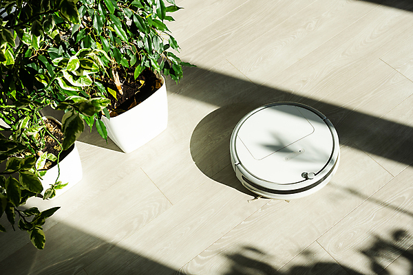 포토 JPG 해외이미지 화분 실내 그림자 사람없음 청결 방 청소 스마트 청소로봇 해외포토 컨셉 내부 위생 로봇 파일형식 이미지허브