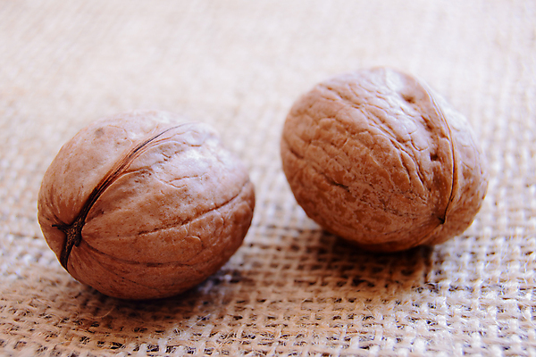 포토 JPG 해외이미지 음식 백그라운드 다이어트 재료 자연 건강 사람없음 갈색 노란색 어둠 견과류 껍질 가을 직물 신선 오픈 그룹 닫기 맛 아침식사 천 먹기 삼베 오브젝트 유기농 질감 알맹이 호두 내추럴 옛날 맛있는 해외포토 웰빙 계절 컬러 컨셉 모션 식사 생태계 파일형식 천_직물 이미지허브