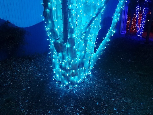 포토 JPG 해외이미지 크리스마스 자연 휴가 전등 조명 사람없음 야외 장식 파란색 빛 축제 광 해외포토 기념일 컬러 생태계 파일형식 이미지허브