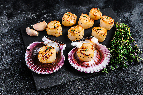 포토 JPG 해외이미지 검은배경 실내 마늘 사람없음 해물요리 해산물 가리비 관자 백리향 석판 해외포토 음식 백그라운드 채소 조개 내부 검은색 파일형식 이미지허브