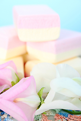 포토 JPG 해외이미지 꽃잎 꽃 음식 분홍색 백그라운드 꽃무늬 사탕 사람없음 장식 파란색 노란색 쌓기 사막 뜨개질 달콤 부드러움 흙더미 해외포토 식물 컬러 무늬 모션 디저트 취미 흙 감각 맛 파일형식 더미 이미지허브