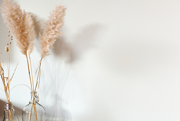 포토 JPG 해외이미지 유리병 실내 사람없음 오브젝트 흰배경 팜파스그라스 카피스페이스 해외포토 식물 백그라운드 병_용기 내부 공백 흰색 파일형식 이미지허브