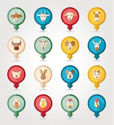 EPS 해외이미지 말풍선 여러마리 일러스트 염소 오리 사람없음 세트 농장 고양이 토끼 닭 양 말_동물 돼지 소 강아지 황소 거위 당나귀 해외일러스트 다수 농업 포유류 조류 반려동물 개 파일형식 벡터 이미지허브