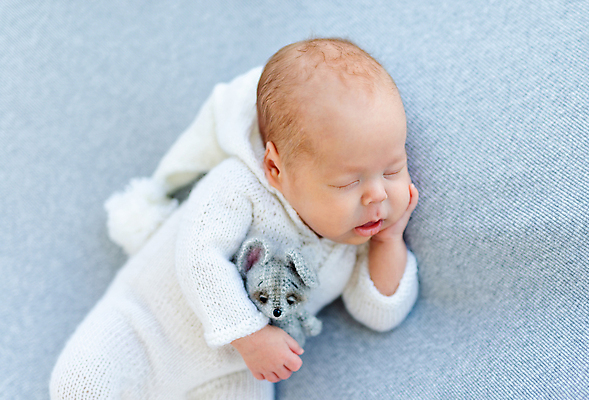 포토 JPG 해외이미지 남자 인형 안기 한명 사람 귀여움 아기 신생아 잠 니트 남자아기한명만 안락 해외포토 1 컨셉 상의 모션 남자한명만 남자아기만 파일형식 이미지허브