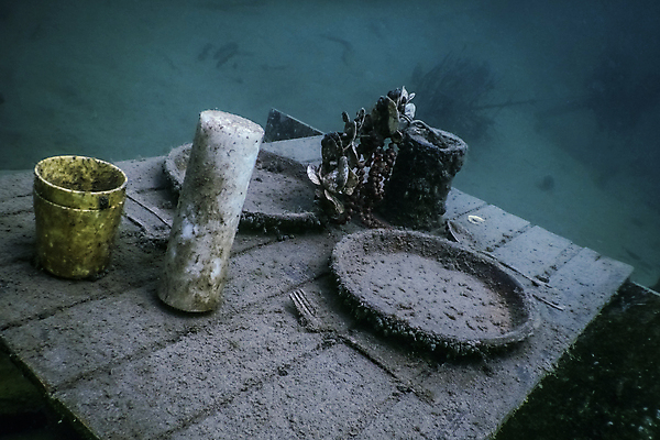 포토 JPG 해외이미지 계절 호수 야생동물 스포츠 파도 자연 휴가 휴식 건강 어류 취미 사람없음 물 여름 파란색 컬러풀 뷰티 환경 수중 수영 꿈 스노클링 오염 잠수부 다이빙 잉어 산소 깊이 동물상 민물 해외포토 자연요소 동물 바다 컬러 컨셉 조형물 수중동물 수상스포츠 원소 전문직 생태계 수중스포츠 파일형식 이미지허브