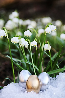 포토 JPG 해외이미지 식물 전통 계절 꽃 기독교 꽃무늬 오렌지 자연 3 초원 사람없음 야외 빨간색 초록색 파란색 컬러풀 햇빛 노란색 보라색 봄 활발 축하 신선 신용카드 눈송이 그리기 황금 은색 부활절계란 부드러움 헌병 카피스페이스 해외포토 종교 컬러 컨셉 무늬 과일 모션 부활절 눈_날씨 금융 태양 계란 공백 군인 감각 생태계 파일형식 이미지허브