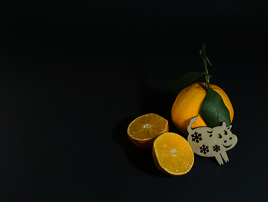 포토 JPG 해외이미지 음식 백그라운드 잎 농업 오렌지 과일 부분 자연 디저트 귤 건강 사람없음 초록색 여름 반사 노란색 주스 흰색 신선 쌍 원형 그룹 닫기 달콤 맛 자르기 먹기 피부 오브젝트 싱글 상쾌 유기농 날것 슬라이스 고립 숙성 채식주의자 해외포토 도형 식물 웰빙 계절 감정 산업 음료 컬러 컨셉 모션 신체부위 생태계 채식 파일형식 이미지허브