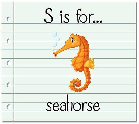 EPS 해외이미지 한마리 알파벳 영어 일러스트 영어교육 사람없음 단어 물방울 S 해마 단어카드 해외일러스트 문자 1 교육 바다동물 파일형식 벡터 단어장 이미지허브