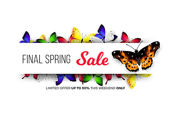 포토 JPG 해외이미지 동물 템플릿 배너 계절 포스터 종이 나비 곤충 백그라운드 컨셉 일러스트 자연 추상 휴가 선물 미술 이벤트 사람없음 장식 컬러풀 뷰티 꼬리표 라벨 판매 세일 상점 봄 가격 승진 특별함 스타일 현실 제의 해외일러스트 컬러 무늬 문화예술 프레임 생태계 파일형식 이미지허브
