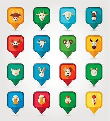 EPS 해외이미지 말풍선 여러마리 일러스트 염소 오리 사람없음 세트 농장 고양이 토끼 닭 양 말_동물 돼지 소 강아지 황소 거위 당나귀 해외일러스트 다수 농업 포유류 조류 반려동물 개 파일형식 벡터 이미지허브