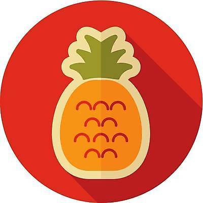 EPS 해외이미지 일러스트 사람없음 빨간색 원형 파인애플 해외일러스트 도형 컬러 과일 열대과일 파일형식 벡터 이미지허브